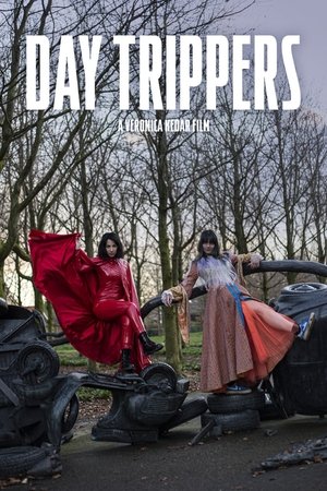 Day Trippers (2024) WEBRIP Hindi (MULTI AUDIO) 720p – 480p – 1080p