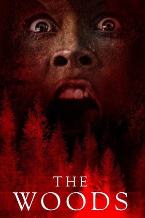 The Woods (2024) WEBRIP Hindi (MULTI AUDIO) 720p – 480p – 1080p
